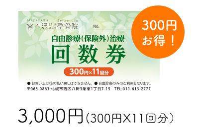 自由診療（保険外）治療回数券 3,000円（300円X11回分）